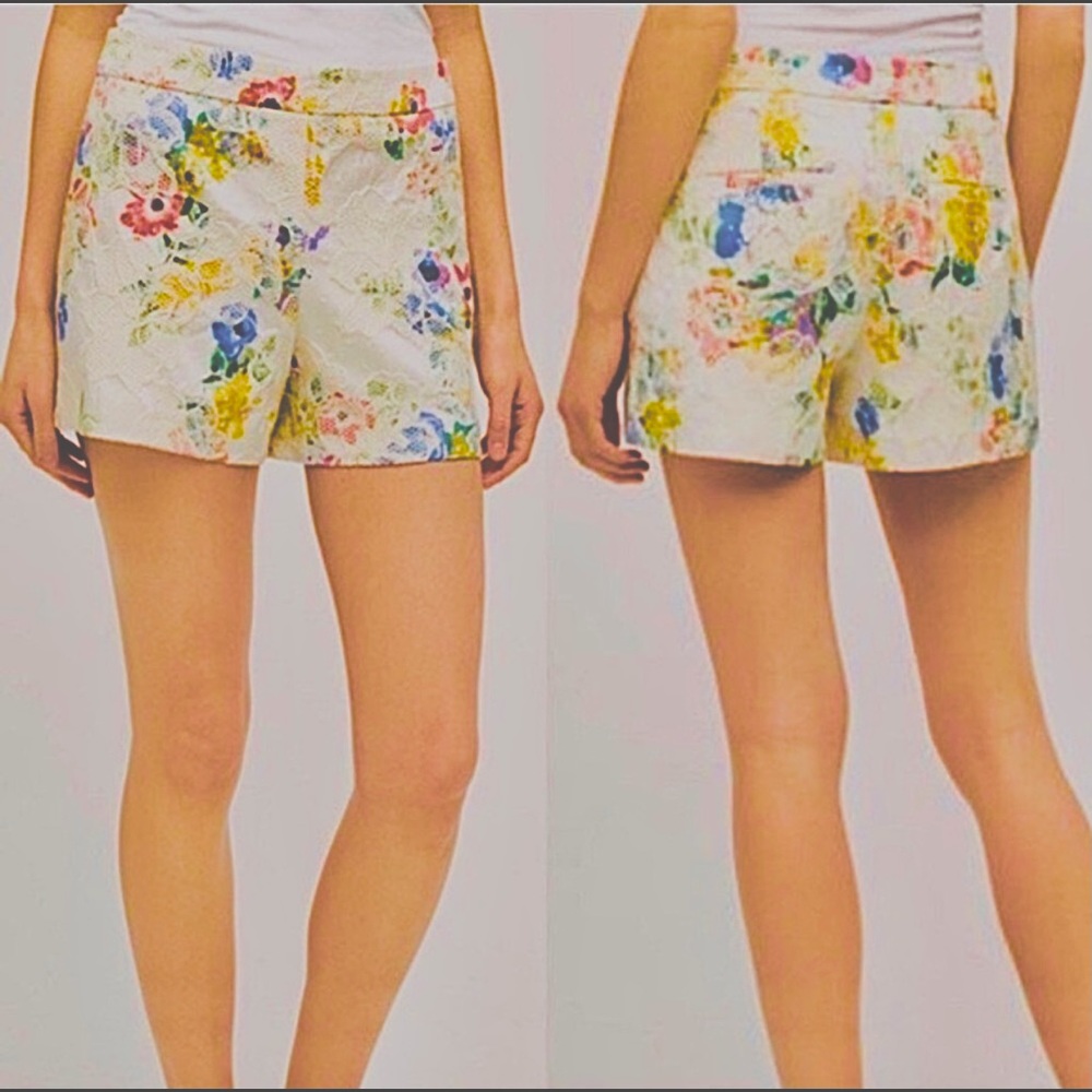 Anthropologie Elevenses embroidered floral short